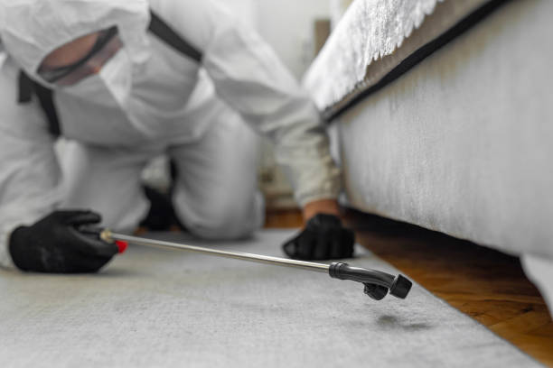 Professional Bed Bug Control technician working in Jacksonville, IL
