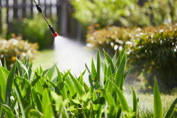 24/7 Emergency Bed Bug Control experts in Jacksonville, IL