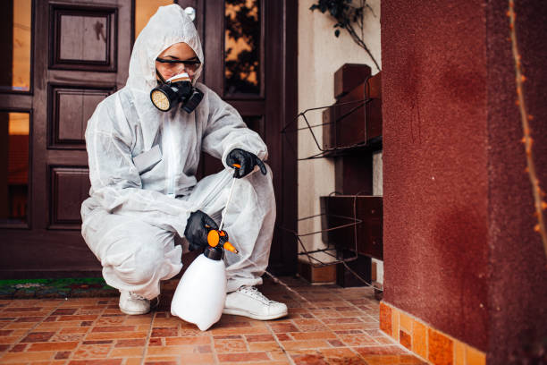 Reliable Bed Bug Control contractor in Jacksonville, IL by Nex Pest Control