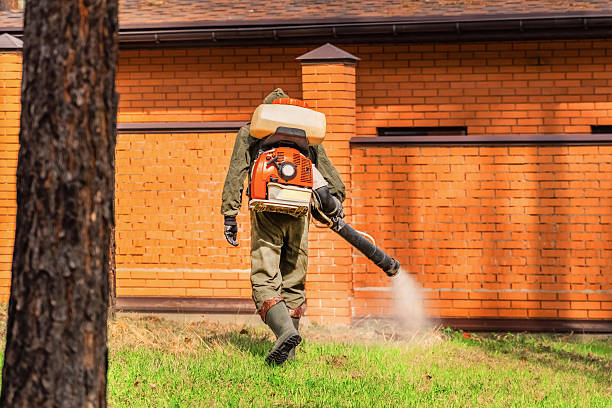 Top rated local Bed Bug Control specialists in Jacksonville, IL